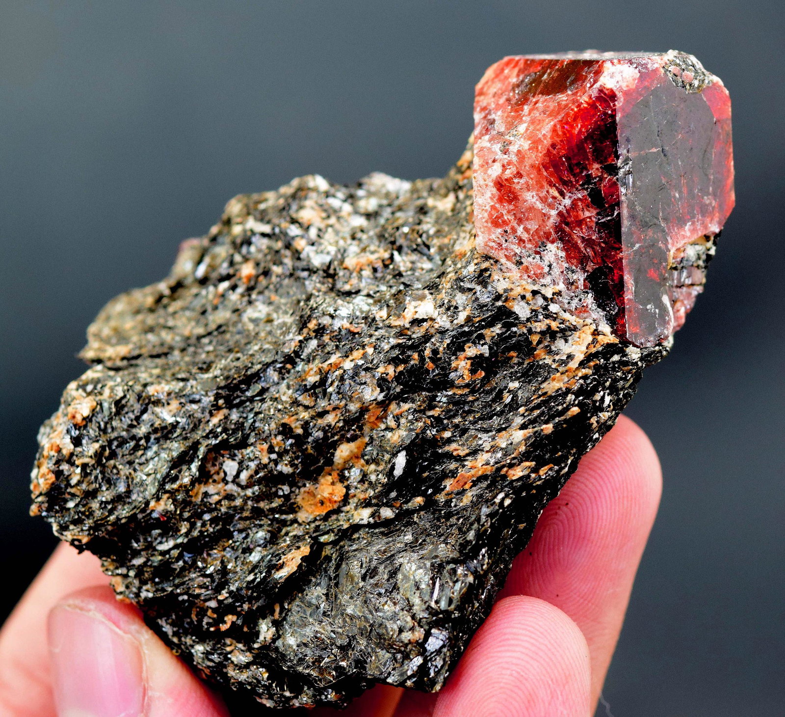 109 Gram Rare Terminated & Undamaged Blood Red Color: Material zircon more Description 109 Gram Rare Terminated & Undamaged Blood Red Color Zircon Crystal On Matrix-R - Weight : 109 Gram Dimensions : 65*51*27 mm Treatment : Natural origin : Skardu Pakist