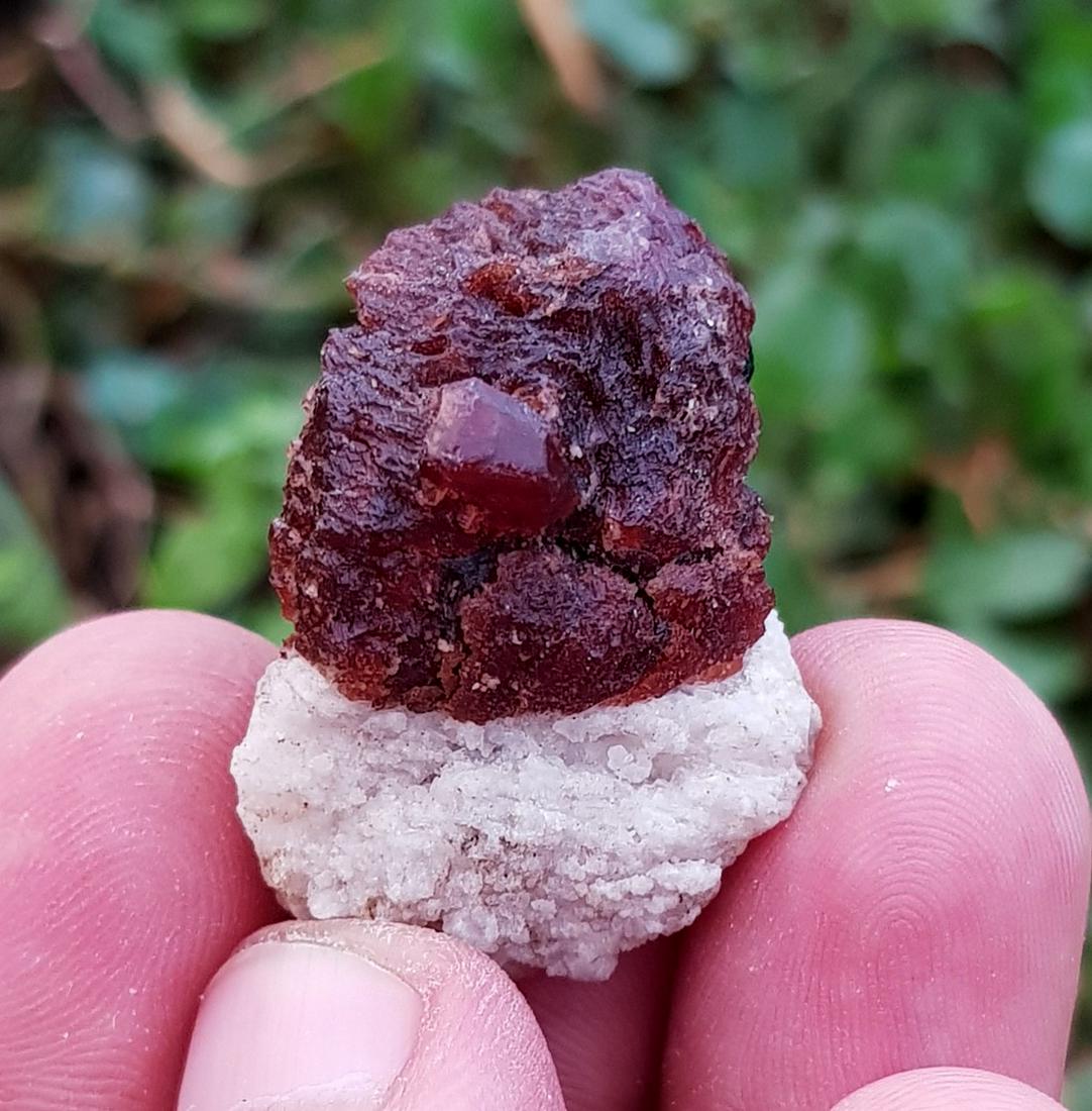 19 Gram Amazing Natural Garnet Specimen: Title: 19 Gram Amazing Natural Garnet Specimen Weight: 19 Gram Size/Dimension: 36x25x24 mm Origin: Pakistan Reserve: $10.00 Shipping: Domestic: Flat-rate of $15.00 to anywhere within the contiguous U.
