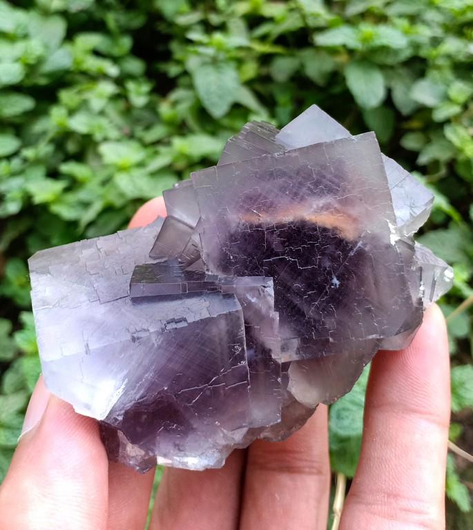 223 Gram Attractive Natural Flourite Specimen: Title: 223 Gram Attractive Natural Flourite Specimen Treatment: Natural Weight: 223 Gram Size/Dimensions: 75x51x43 mm Origin: Pakistan Reserve: $20.00 Shipping: Domestic: Flat-rate of $15.00 to anywhe