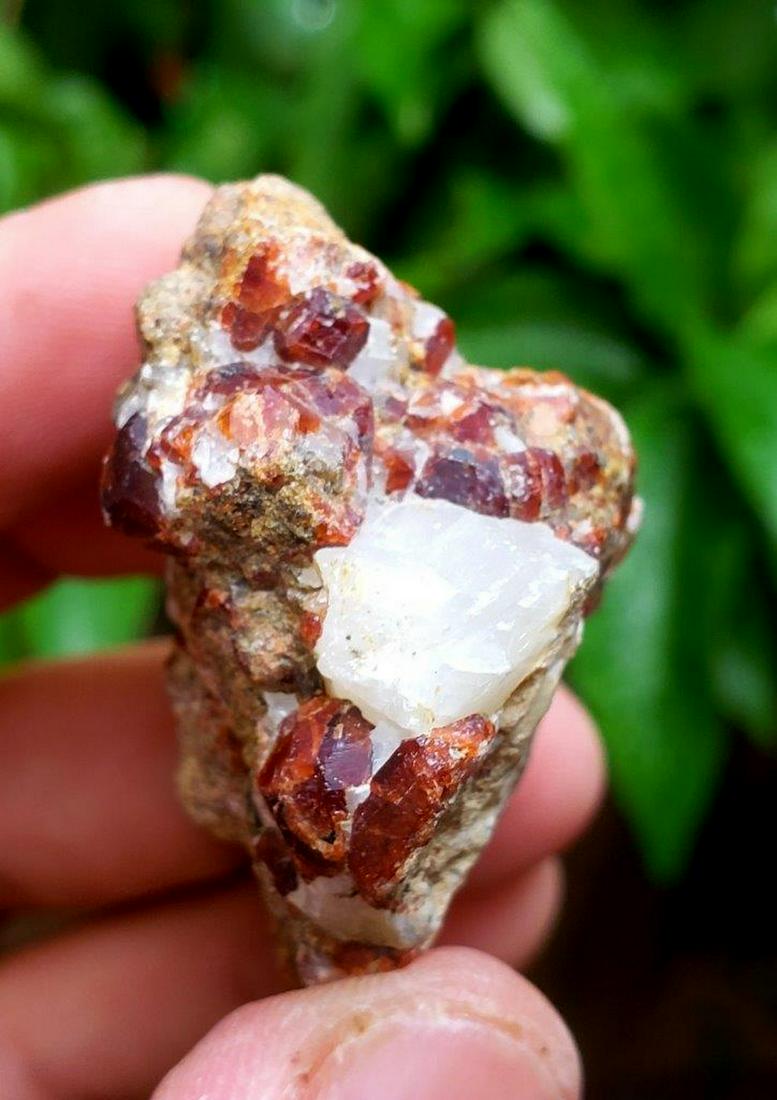 Garnet Crystals Cluster Specimen Mineral - 40.8 Grams -: Title: Garnet Crystals Cluster Specimen Mineral - 40.8 Grams - 42X35X20 mm Origin: Afghanistan Reserve: $9.00 Shipping: Domestic: Flat-rate of $23.00 to anywhere within the contiguous U.S. Internation