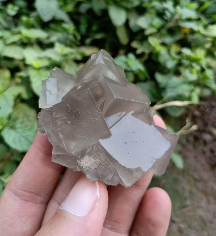 59 Gram Beautiful Natural Flourite Specimen: Title: 59 Gram Beautiful Natural Flourite Specimen Treatment: Natural Weight: 59 Gram Size/Dimensions: 55x45x20 mm Origin: Pakistan Reserve: $10.00 Shipping: Domestic: Flat-rate of $15.00 to anywhere 