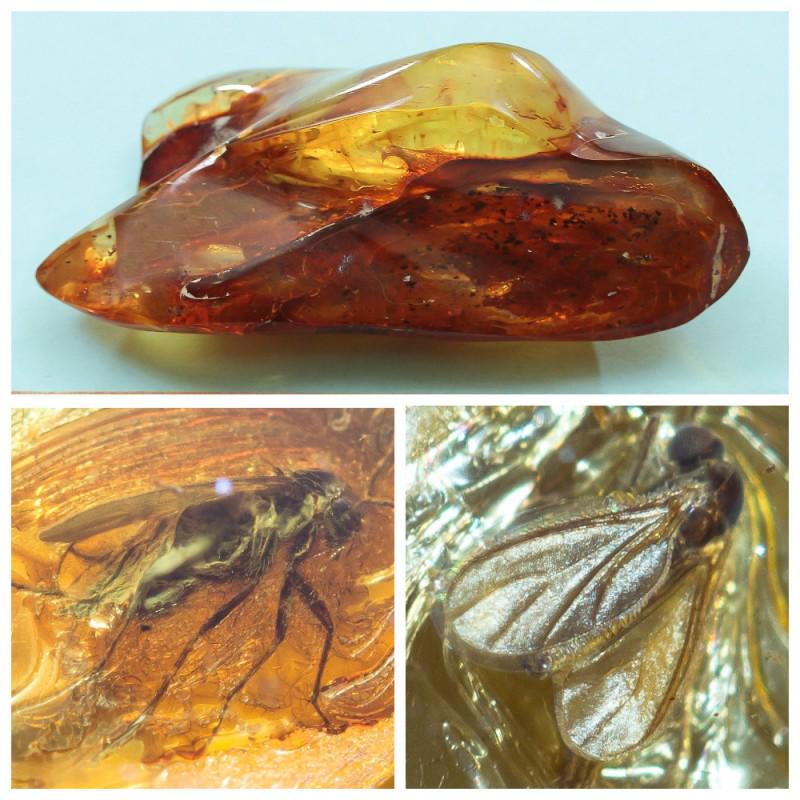 170 g. 100% natural Baltic amber stone fossil with: There are several inclusions in the stone Weight: 170 gram Size: 54x67x138 mm Inclusion: fly (Diptera) Age: 45-50 million years old Stone: 100% natural Baltic amber Treatment: no Condition: as on the 