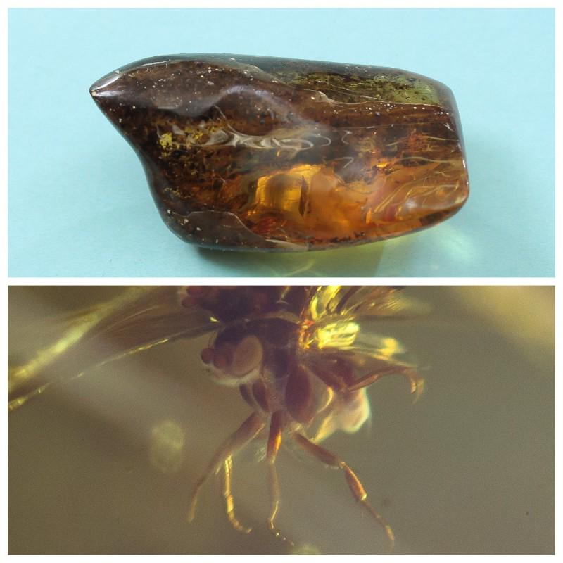 104 g. 100% natural Baltic amber stone fossil with: Weight: 104 gram Size: 42x51x94 mm Inclusion: fly (Diptera) Age: 45-50 million years old Stone: 100% natural Baltic amber Treatment: no Condition: as on the photo (good) Tested 100% natural Baltic amb