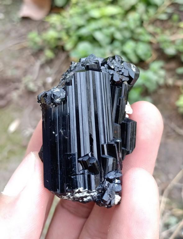48 Gram Beautiful Natural Black Tourmaline Specimen: Title: 48 Gram Beautiful Natural Black Tourmaline Specimen Treatment: Natural Weight: 48 Gram Size/Dimensions: 48x34x24 mm Origin: Pakistan Reserve: $10.00 Shipping: Domestic: Flat-rate of $15.00 to a
