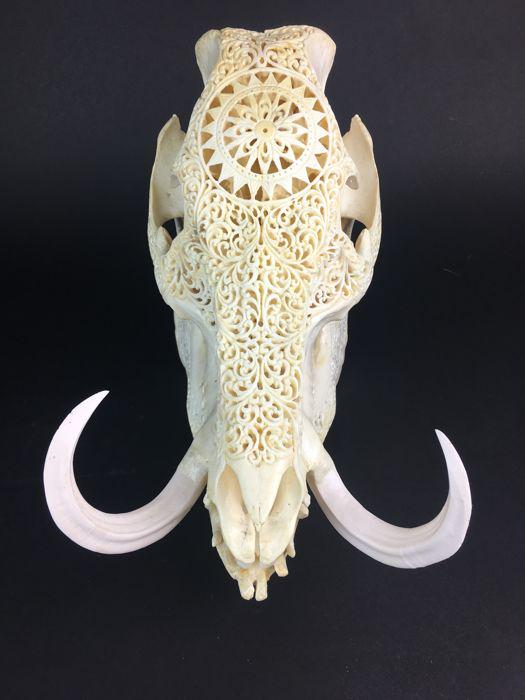 A hand-engraved skull of a wild boar.: Title: A hand-engraved skull of a wild boar. Date/Period: 20th C Materials:Bone Dimension:33 (L) x 20 (W) x 30 (H) cm. Description:A hand-engraved skull of a wild boar. This has been engraved by Balin