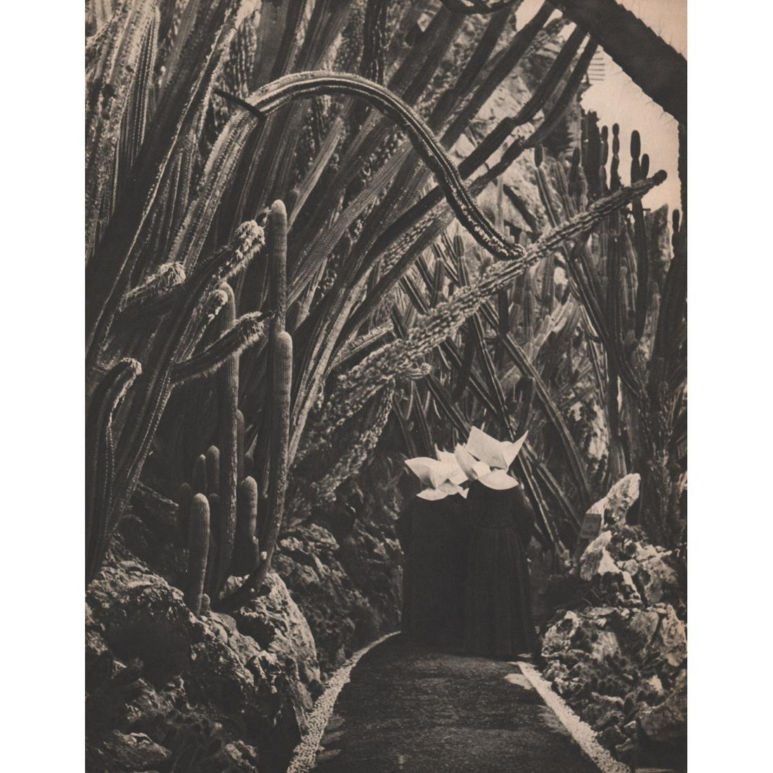 BRASSAI - Cactus Garden and Nuns: Artist: BRASSAI Print Title: Cactus Garden Medium: Sheet-fed Gravure Printing Date: 1940's Printed in France Image size approx. 11.5 X 9 inches Brassai was a Hungarian–French photographer, sculptor,