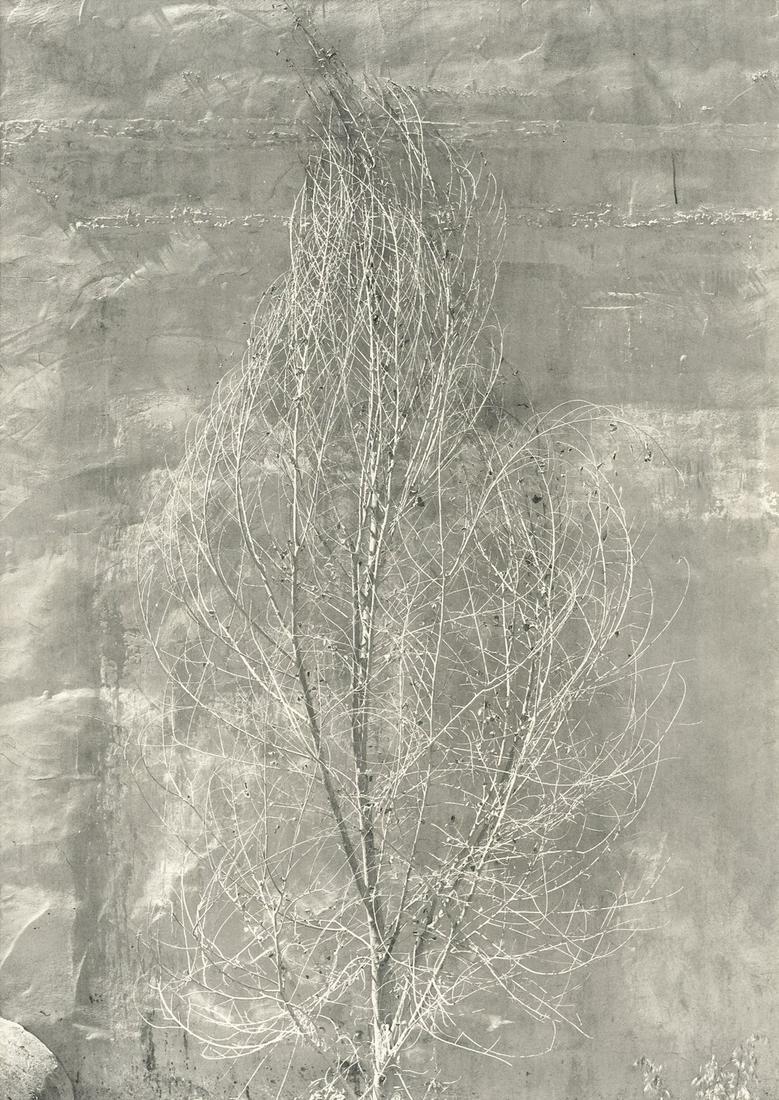 PAUL CAPONIGRO - Taos, New Mexico, 1974 (1 of 1)