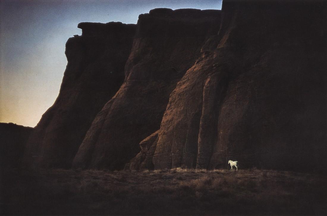 ERNST HAAS - White Horse, Canyon de Chelly, AZ 1960 (1 of 1)