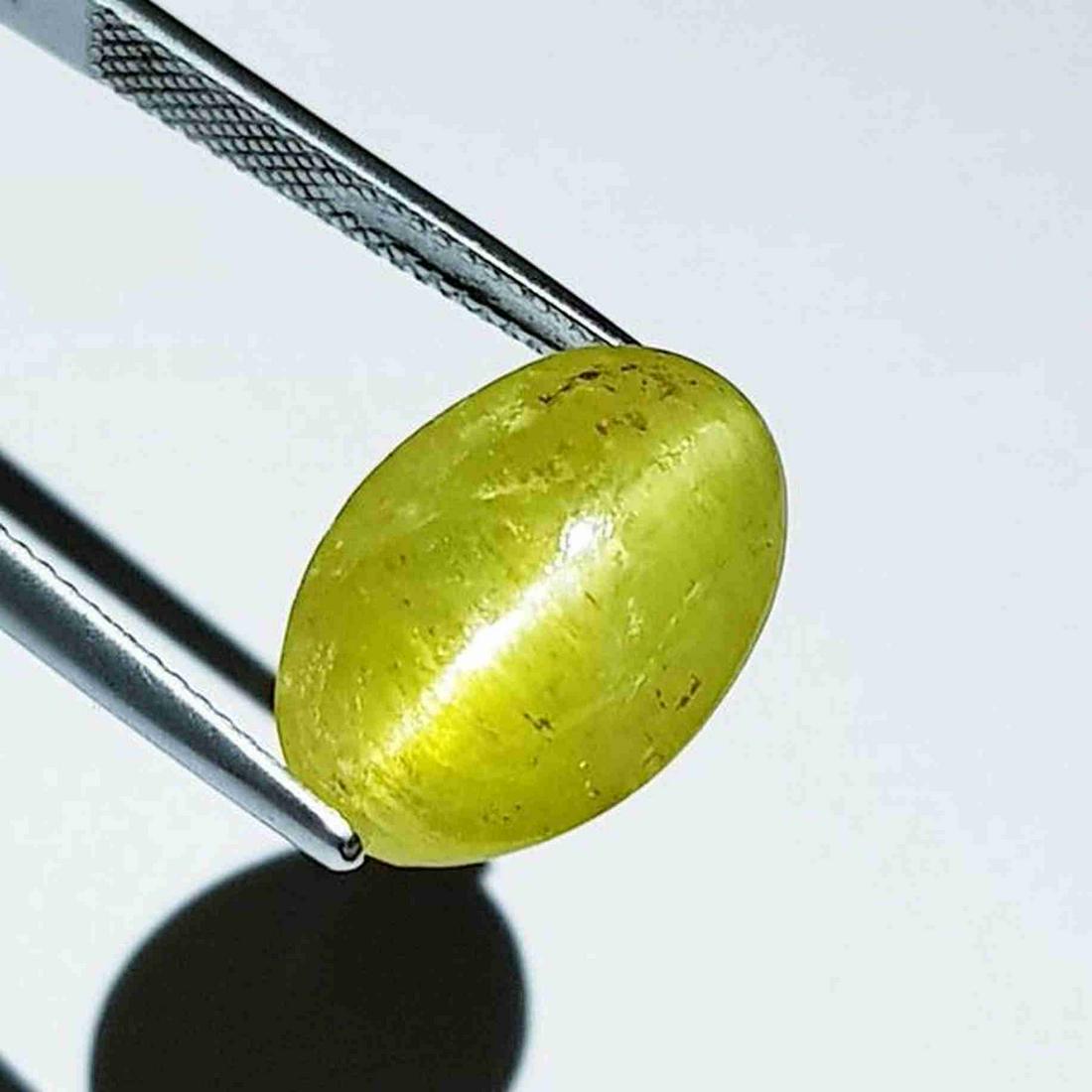 17.77 ct Natural Apatite cat's Eye (1 of 6)