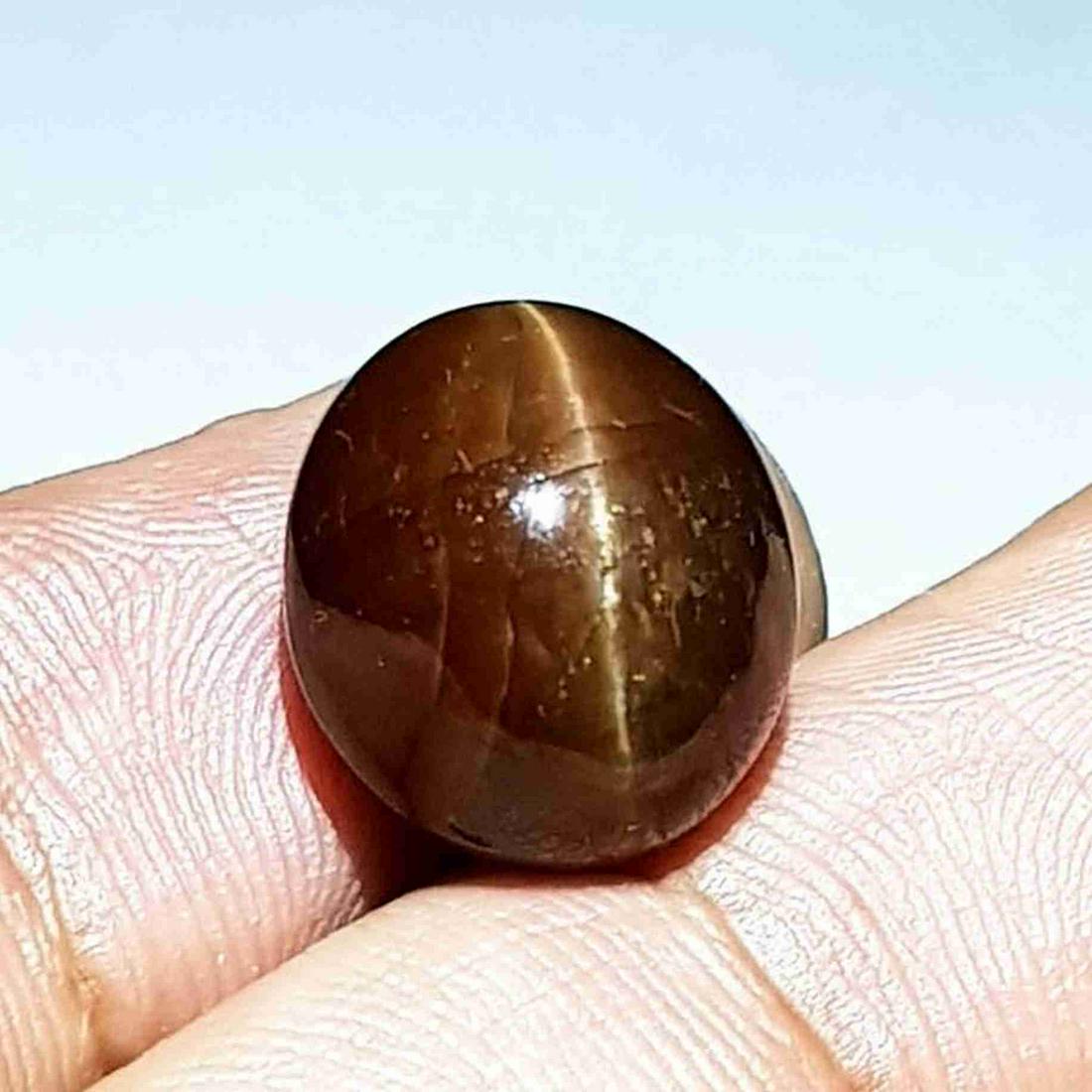 13.74 ct Natural Apatite cat's Eye: No Reserve! Title: 13.74 ct Natural Apatite cat's Eye Color/Clarity: Semi Transparent Carat Weight: 13.74 Dimensions: 13.85 x 12.35 x 9.00 Additional Information: Oval - Africa Shipping: Domestic: F