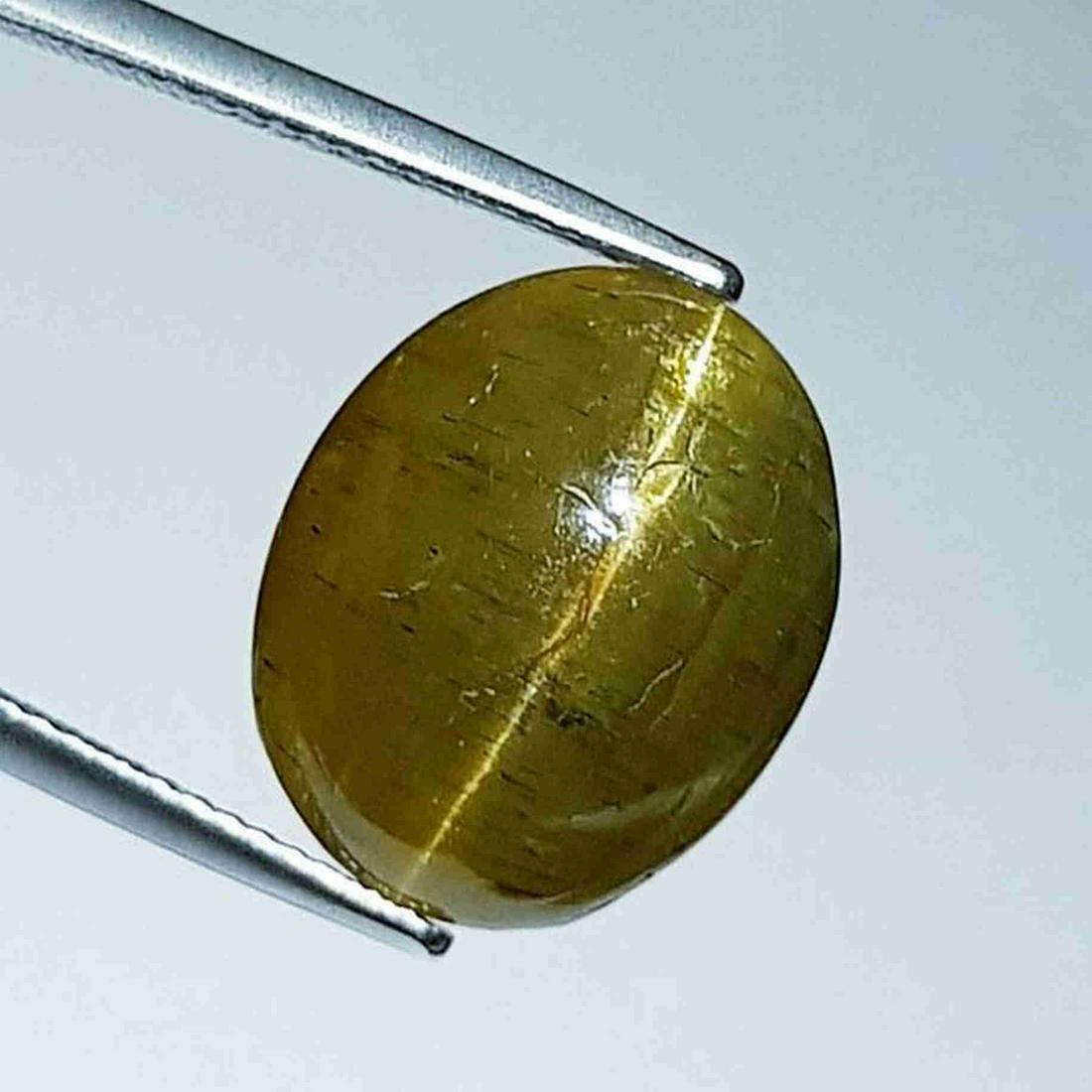 15.74 ct Natural Apatite cat's Eye (1 of 6)