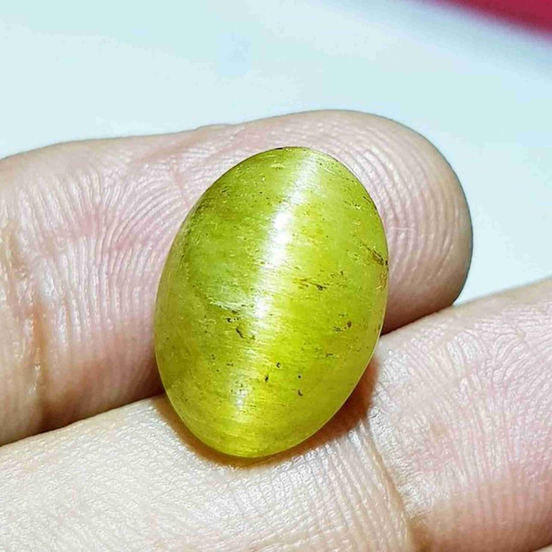 11.82 ct Natural Apatite cat's Eye: No Reserve! Title: 11.82 ct Natural Apatite cat's Eye Color/Clarity: Semi Transparent Carat Weight: 11.82 Dimensions: 15.50 x 11.20 x 8.50 Additional Information: Oval - Africa Shipping: Domestic: F