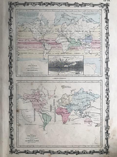 World distribution of meteorology & plants. By Johnson (1 of 1)