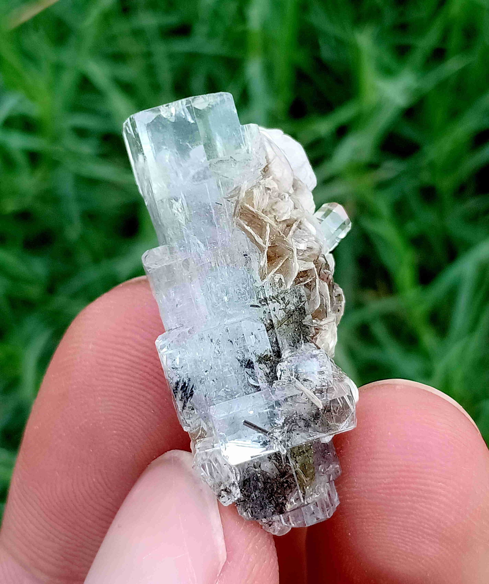 7 Gram Gorgeous And Perfact Termination Natural: Title: 7 Gram Gorgeous And Perfact Termination Natural Aquamarine With Mica Specimen Treatment: Natural Weight: 7 Gram Size/Dimensions: 31x15x11 mm Origin: Pakistan Reserve: $20.00 Shipping: Domestic: