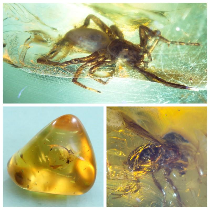 26g Baltic amber insects inclusions Spider (Arachnid),: In stone 2 inclusions. Weight: 26 gram Size: 32x32x40 mm Inclusion: Spider (Arachnid), Fly (Diptera) Age: 45-50 million years old Photo of insects made with zoom Stone: 100% natural Baltic amber Treat
