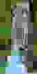 item-90416293=4
