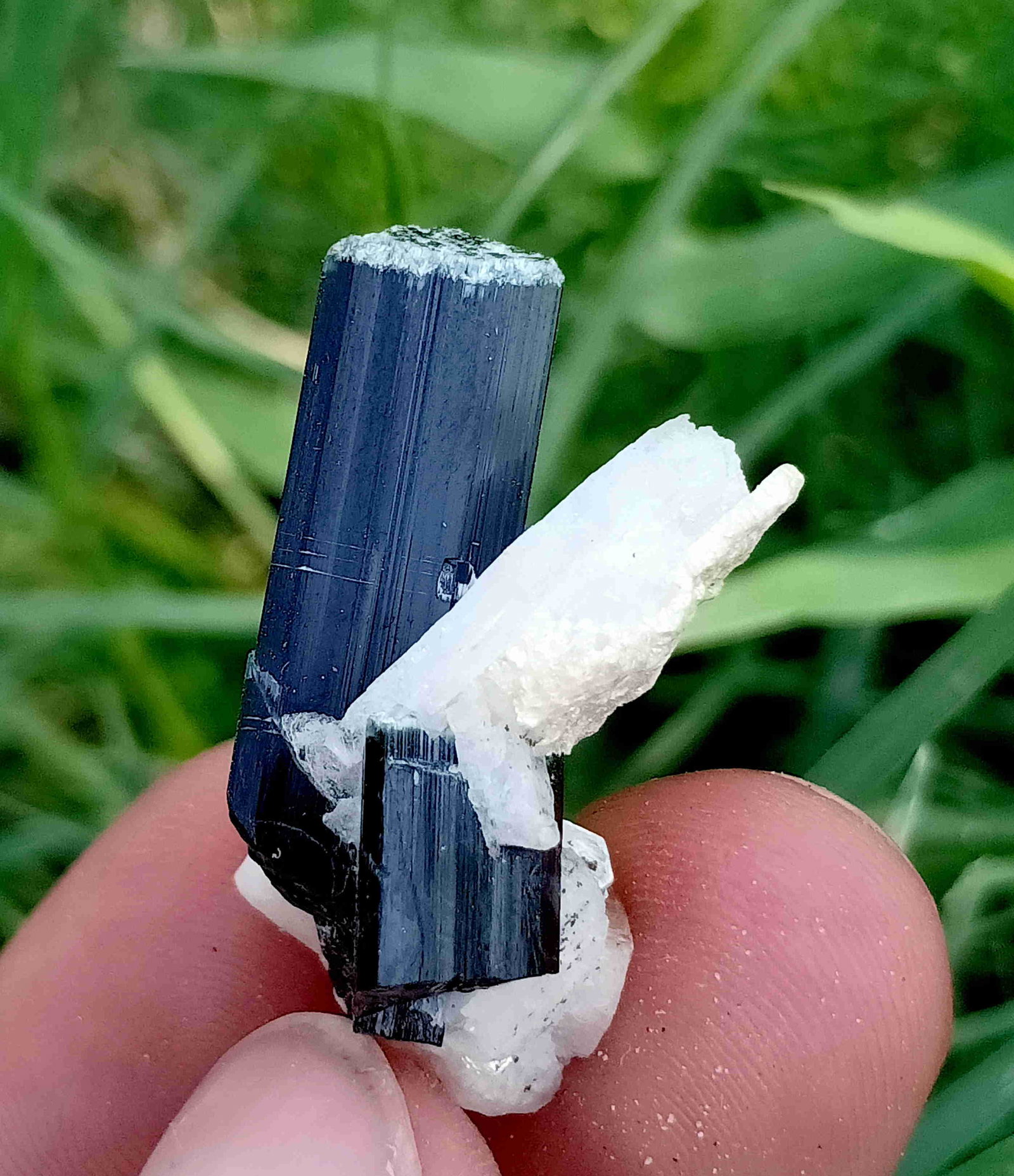 8 Gram Amazing Natural Tourmaline Specimen: Title: 8 Gram Amazing Natural Tourmaline Specimen Treatment: Natural Weight: 8 Gram Size/Dimensions: 29x20x11 mm Origin: Pakistan Reserve: $10.00 Shipping: Domestic: Flat-rate of $15.00 to anywhere wi