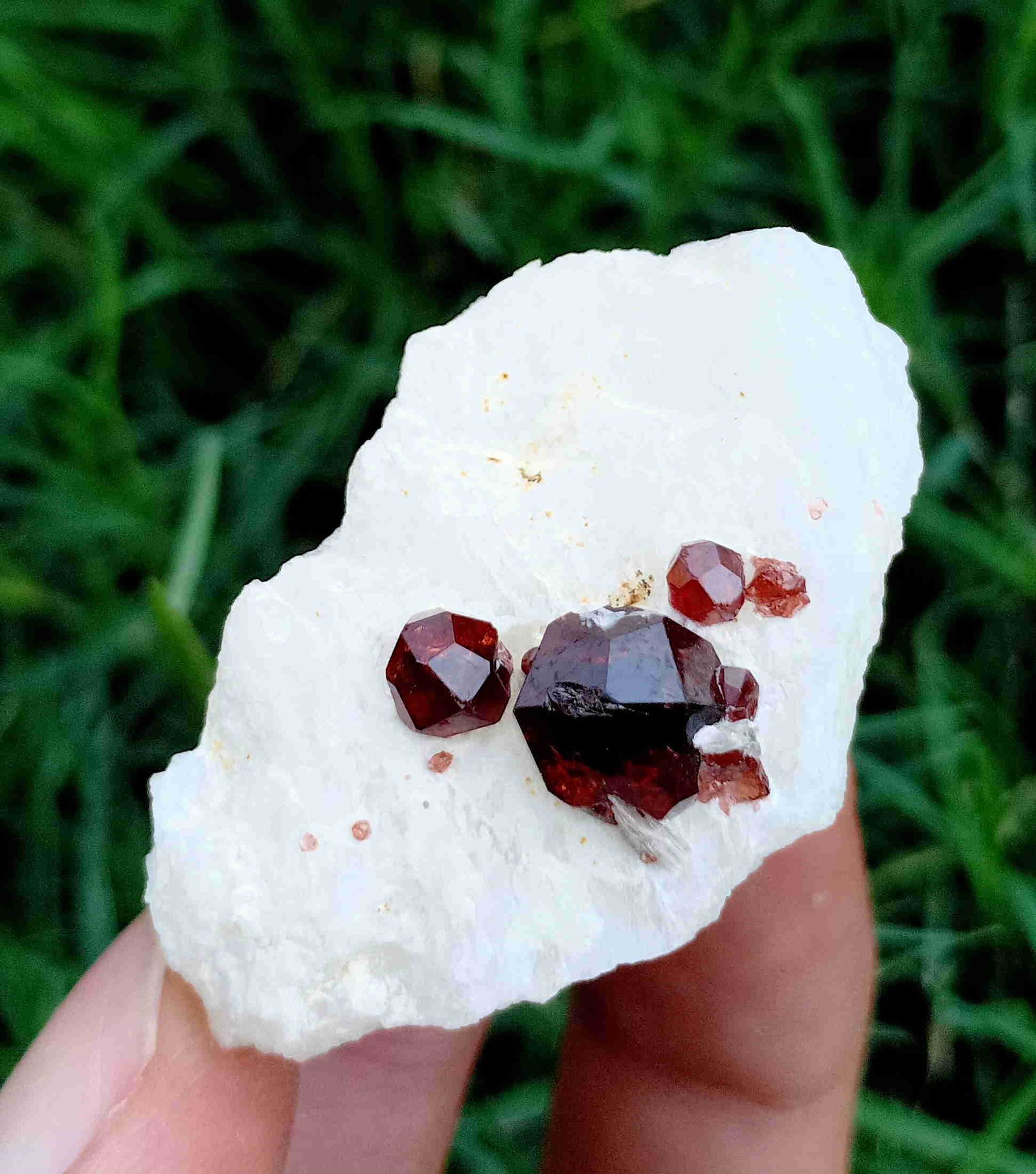33 Gram Very Amazing Natural Garnet Specimen: Title: 33 Gram Very Amazing Natural Garnet Specimen Treatment: Natural Weight: 33 Gram Size/Dimensions: 41x35x23 mm Origin: Pakistan Reserve: $15.00 Shipping: Domestic: Flat-rate of $15.00 to anywhere