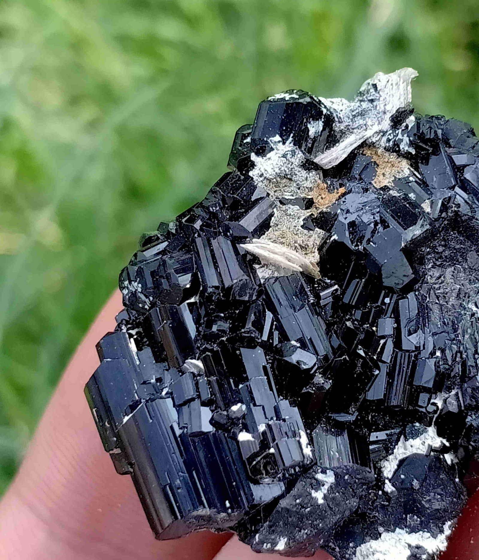 19 Gram Natural Black Tourmaline Specimen: No Reserve! Title: 19 Gram Natural Black Tourmaline Specimen Treatment: Natural Weight: 10 Gram Size/Dimensions: 30x28x18 mm Origin: Pakistan Shipping: Domestic: Flat-rate of $15.00 to anywhere within