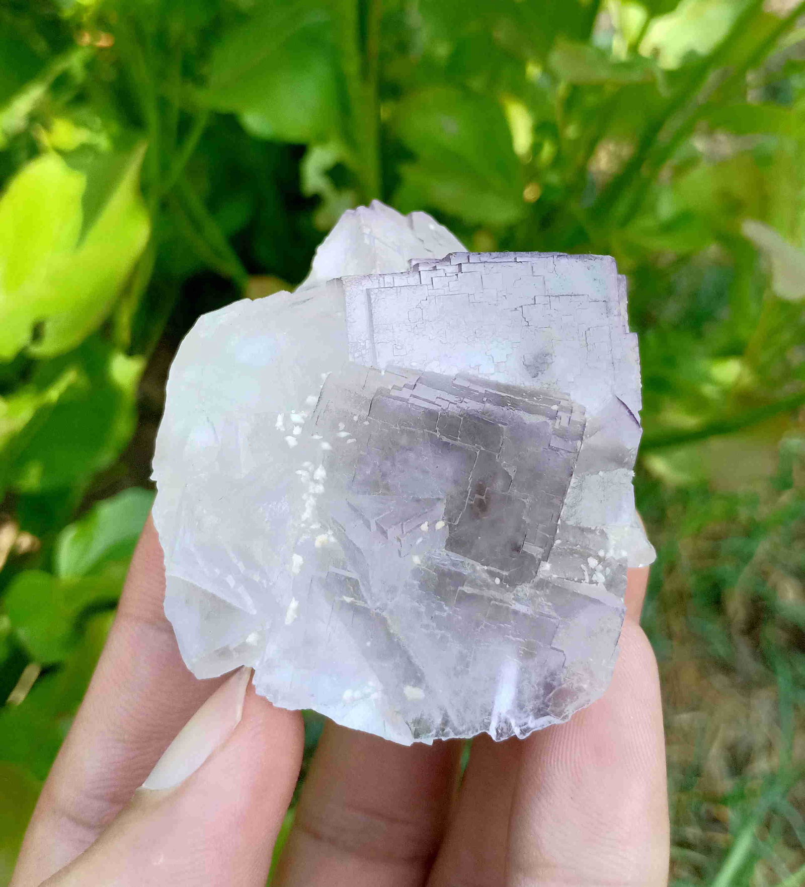 111 Gram Amazing Natural Light Purple Fluorite Specimen: Title: 111 Gram Amazing Natural Light Purple Fluorite Specimen Treatment: Natural Weight: 111 Gram Size/Dimensions: 54x50x40 mm Origin: Pakistan Reserve: $15.00 Shipping: Domestic: Flat-rate of $15.00