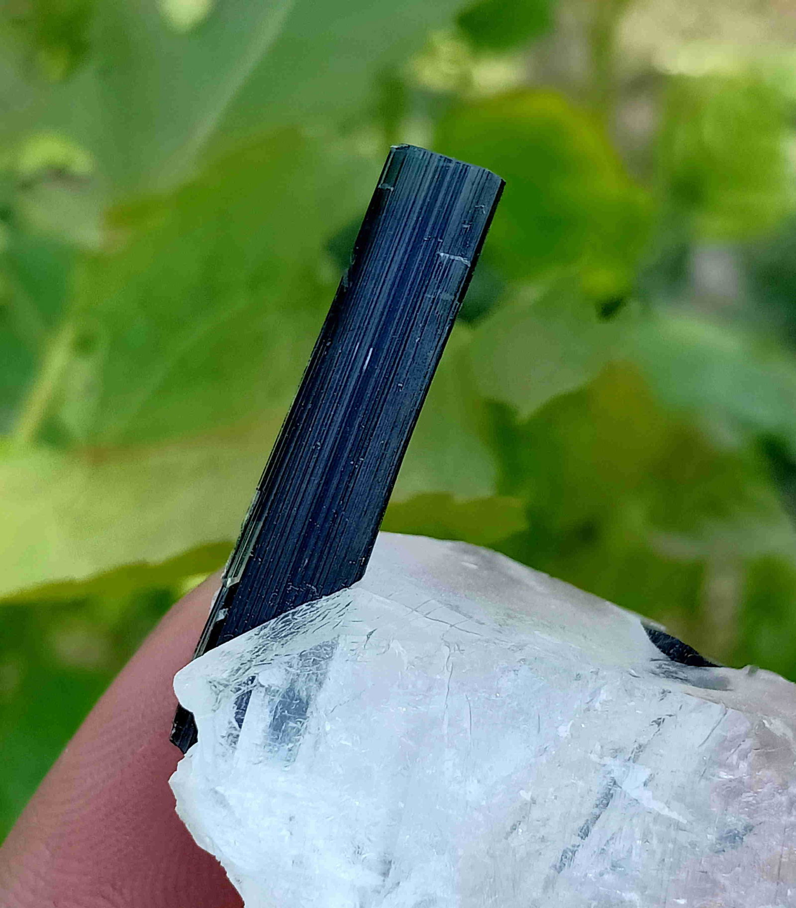 22 Gram Beautiful Natural Green Cap Tourmaline With: Title: 22 Gram Beautiful Natural Green Cap Tourmaline With Quartz Specimen Treatment: Natural Weight: 22 Gram Size/Dimensions: 45x36x10 mm Origin: Pakistan Reserve: $20.00 Shipping: Domestic: Flat-rat