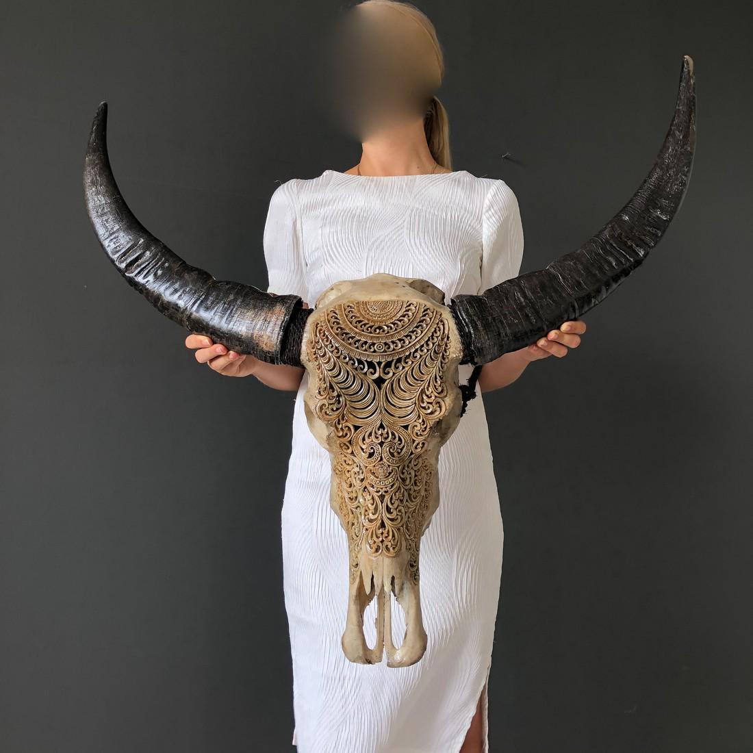 Water Buffalo Skull with Tradtional Balinese Badong: Title: Water Buffalo Skull with Tradtional Balinese Badong Engraving Maker: Wayan Origin: Bali, Indonesia Date/Period: 2019 Materials:Bone Dimensions:Length 79cm / 31.1 inches, width 85cm / 33.4 inche