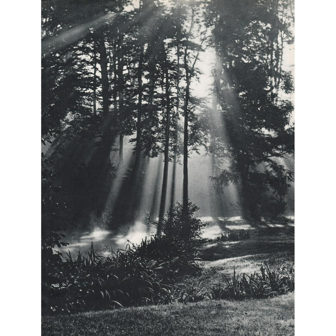 WOLF DIETER STEIN - Morning Mist: Artist: WOLF DIETER STEIN Print Title: Morning Mist Medium: Sheet-fed Gravure Printing Date: 1950's Printed in Switzerland Image Size approx: 12 x 9 inches Reserve: $30.00 Shipping: Domestic: Flat rat