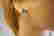 item-90571309=4