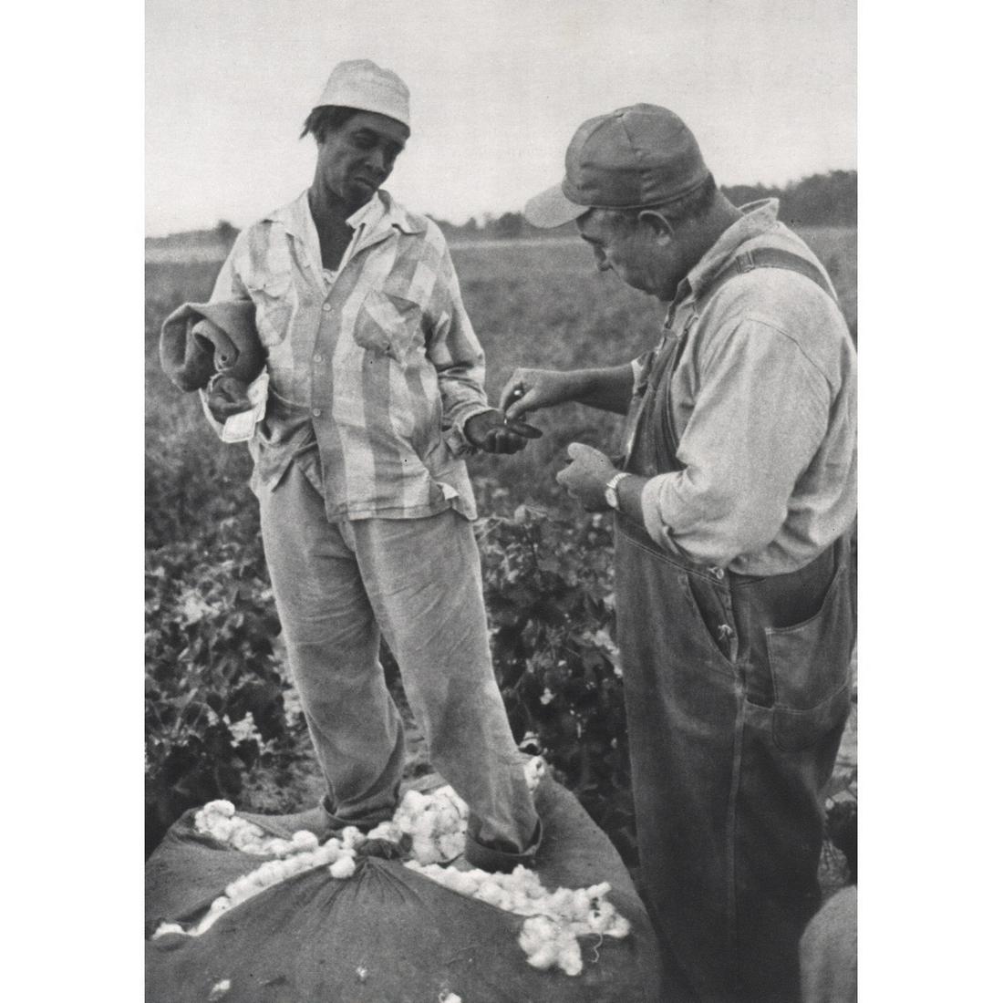 BRUCE DAVIDSON - Cotton Field, South Carolina 1962 (1 of 1)