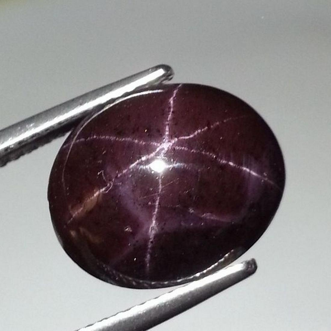 14.29 ct Natural Six Ray Star Garnet (1 of 6)