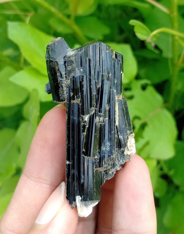 41 Gram Interesting Natural Black Tourmaline: Title: 41 Gram Interesting Natural Black Tourmaline Specimen Treatment: Natural Weight: 41 Gram Size/Dimensions: 57x28x23 mm Origin: Pakistan Reserve: $10.00 Shipping: Domestic: Flat-rate of $15.00 to