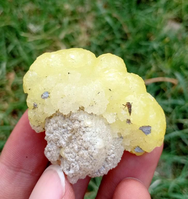 32 Gram Gorgeous Natural yellow Brucite Specimen: Title: 32 Gram Gorgeous Natural yellow Brucite Specimen Treatment: Natural Weight: 32 Gram Dimensions: 47x39x19 mm Origin: Pakistan Reserve: $15.00 Shipping: Domestic: Flat-rate of $15.00 to anyw