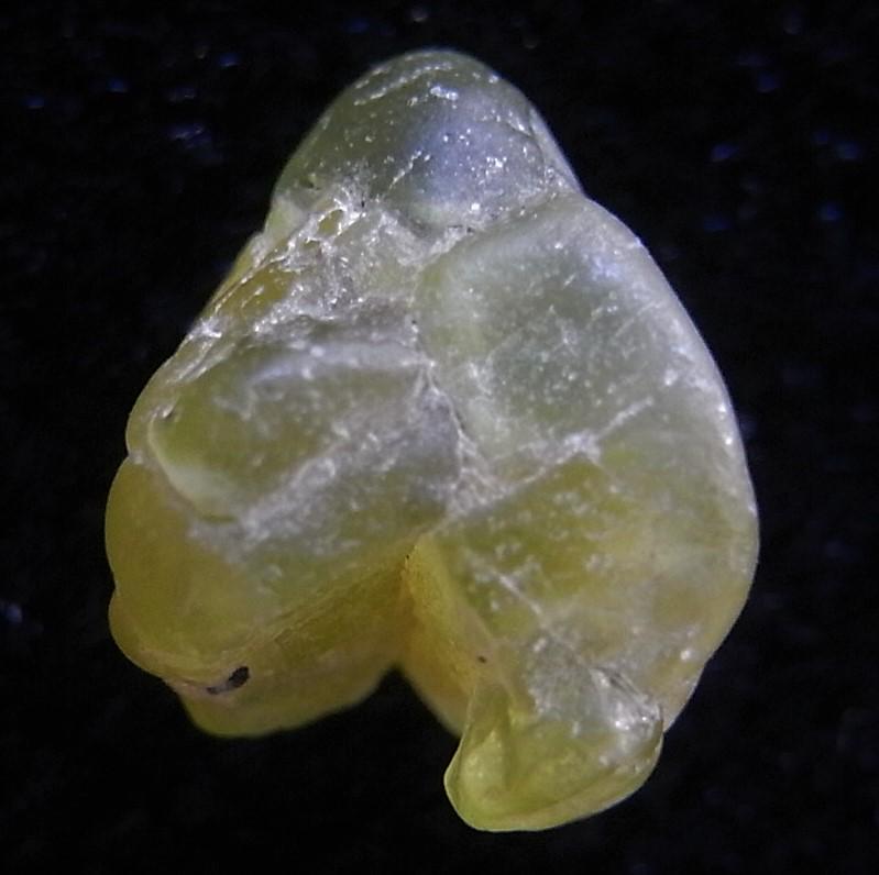 3.25 CT PERIDOT - UNTREATED GEMSTONE: Title: 3.25 CT PERIDOT - UNTREATED GEMSTONE Origin: Megado, Oromia Reg. Ethiopia Size: 0.8x0.7x0.68 cm / 0.65 gram Description: complex crystalline, naturally smoothened peridot Reserve: $4.00 Shippin