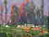item-91392992=2