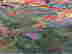 item-91392992=8