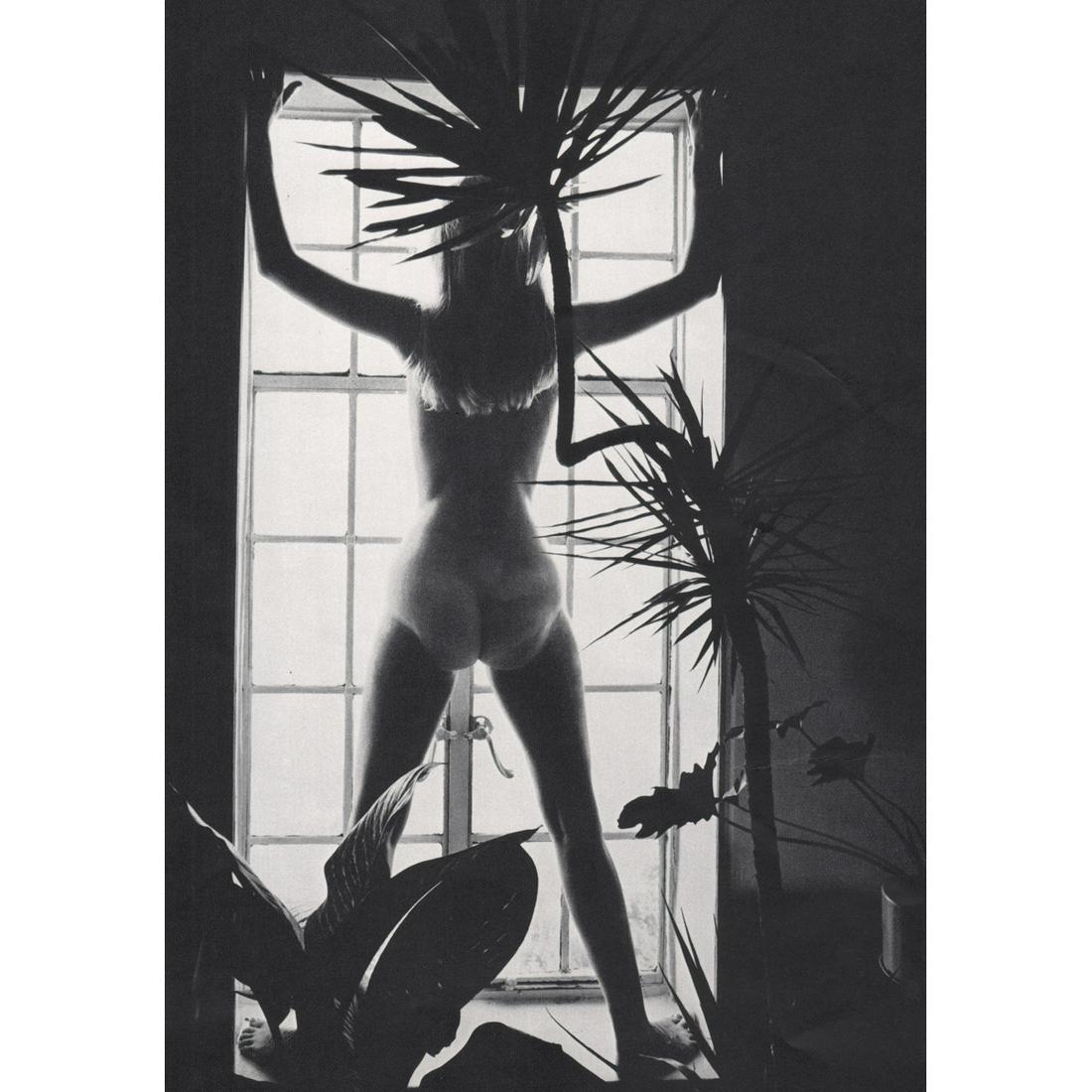 BARRY BROWN - Nude in the Window: Artist: BARRY BROWN Print Title: Nude in the Window Medium: Sheet-fed Gravure Printing Date: 1970s Printed in Switzerland Image Size approx: 10 X 7 inches Reserve: $25.00 Shipping: Domestic: Flat rate