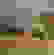 item-91666087=2
