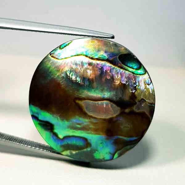 34.29 ct Australian Abalon (1 of 6)
