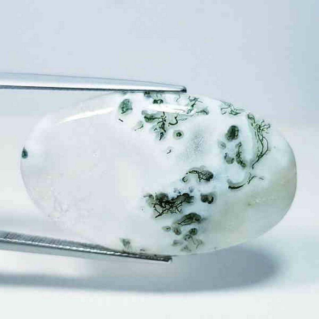 33.81 ct Natural Tree Jasper (1 of 5)