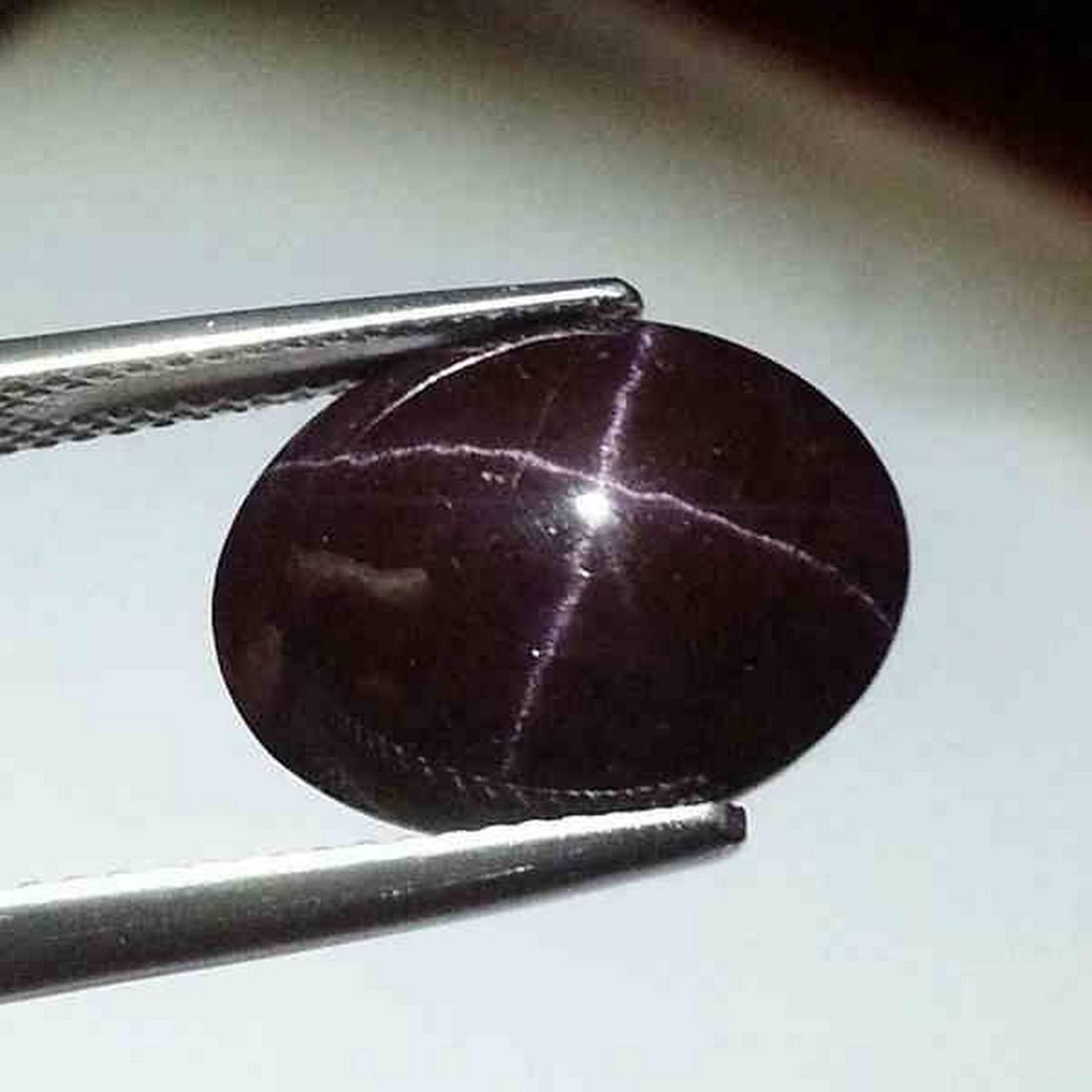 14.00 ct Collective Gem Four Ray Star Garnet (1 of 5)