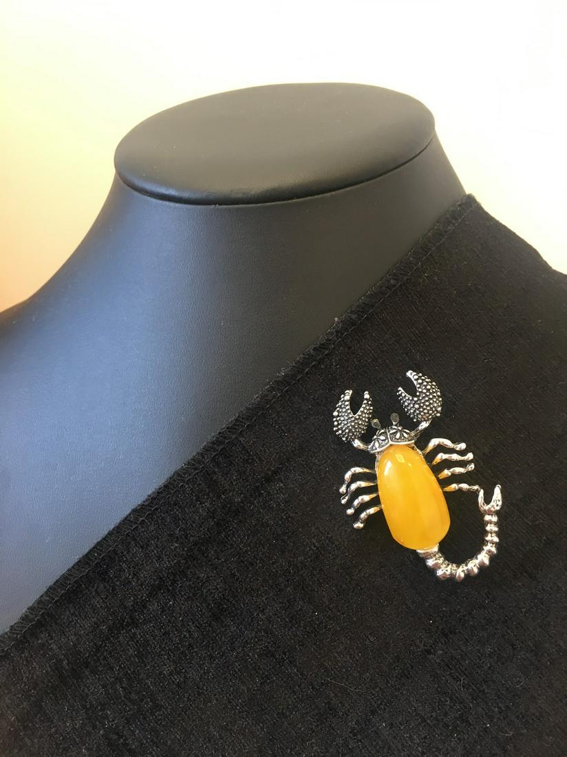 Beautiful Unique Antique Amber Brooch (1 of 11)