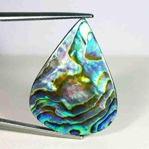 21.50 ct Australian Abalon (1 of 5)