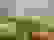 item-92070621=3