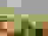 item-92070621=4