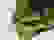 item-92087691=5