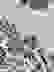 item-92088312=6