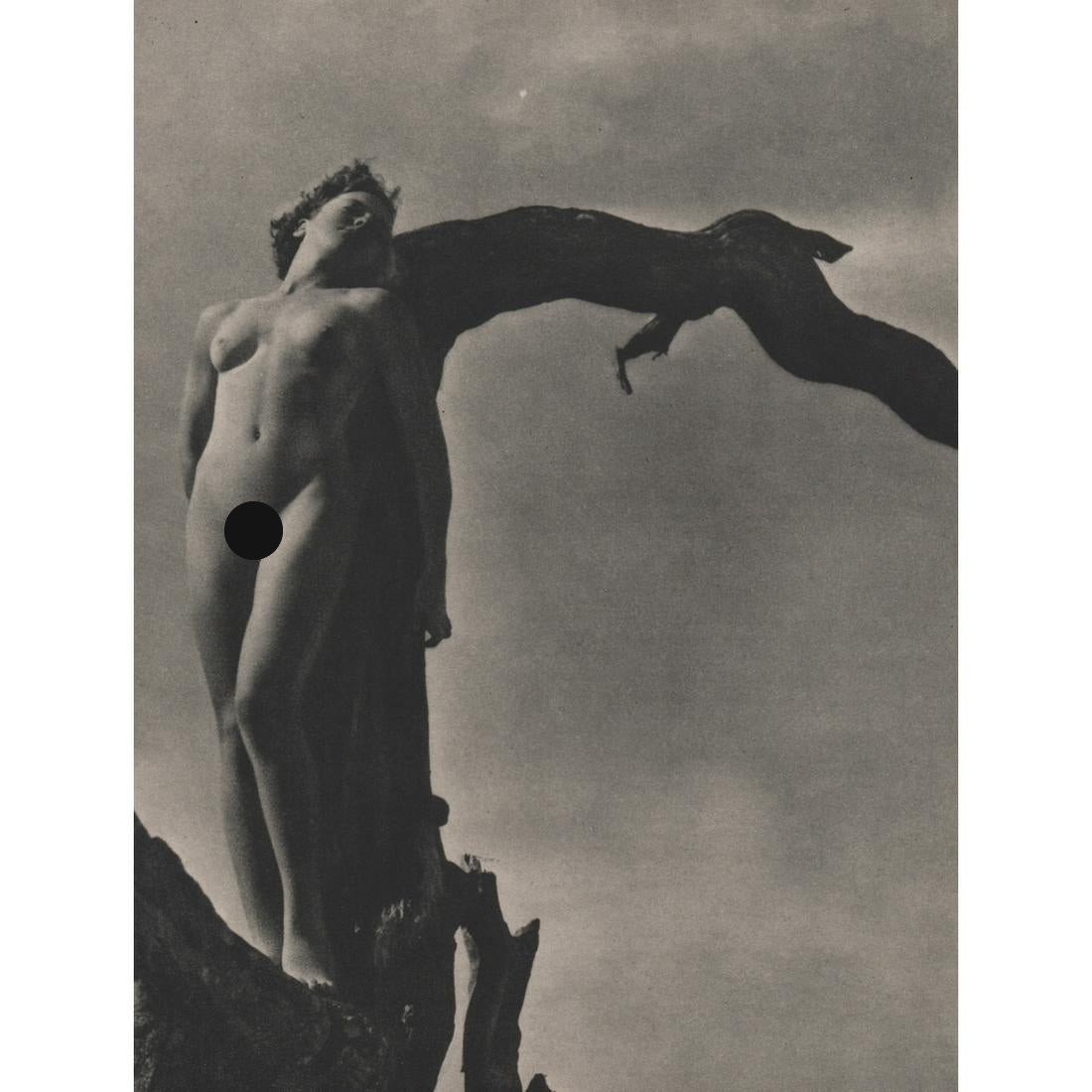 H. G. COX - Nude: Artist: H. G. COX Print Title: Nude Medium: Sheet-fed Gravure Printing Date: 1930's Printed in USA Image Size: 11 X 8.25 inches Reserve: $45.00 Shipping: Domestic: Flat-rate of $15.00 to anywhere with