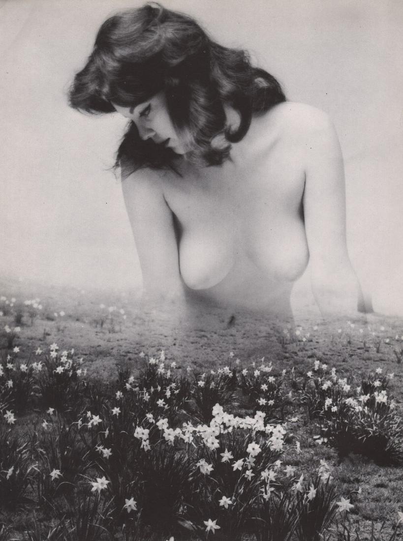 ANDRE DE DIENES - Nude with Wildflowers: Artist: ANDRE DE DIENES Print Title: Nude with Wildflowers Medium: photoengraving Printed 1960’s in the USA Image size (inches) approx. 11 x 8.5” Andre De Dienes Dienes was a professional photogra