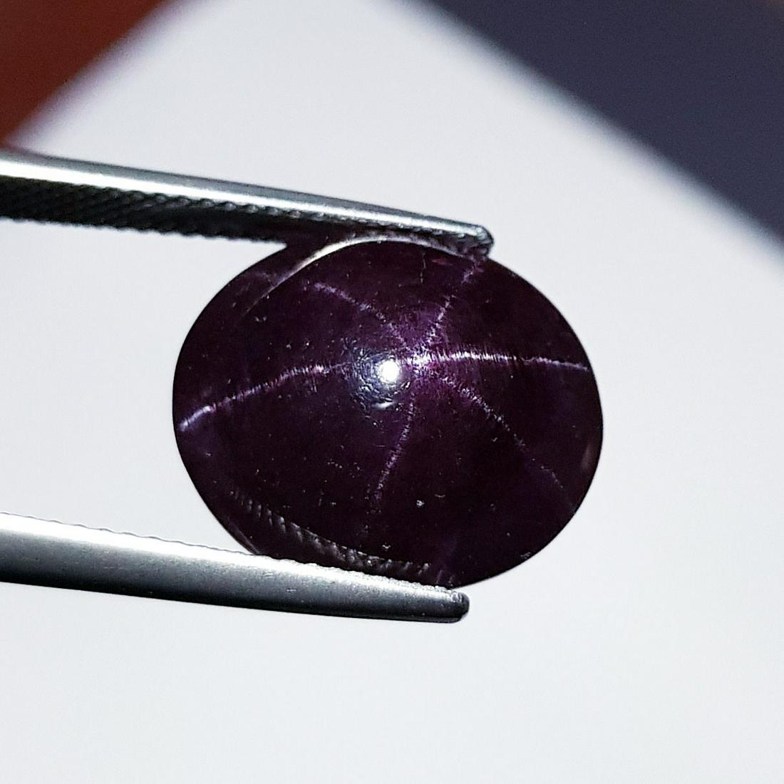 17.38 ct Natural Six Ray Star Garnet (1 of 5)