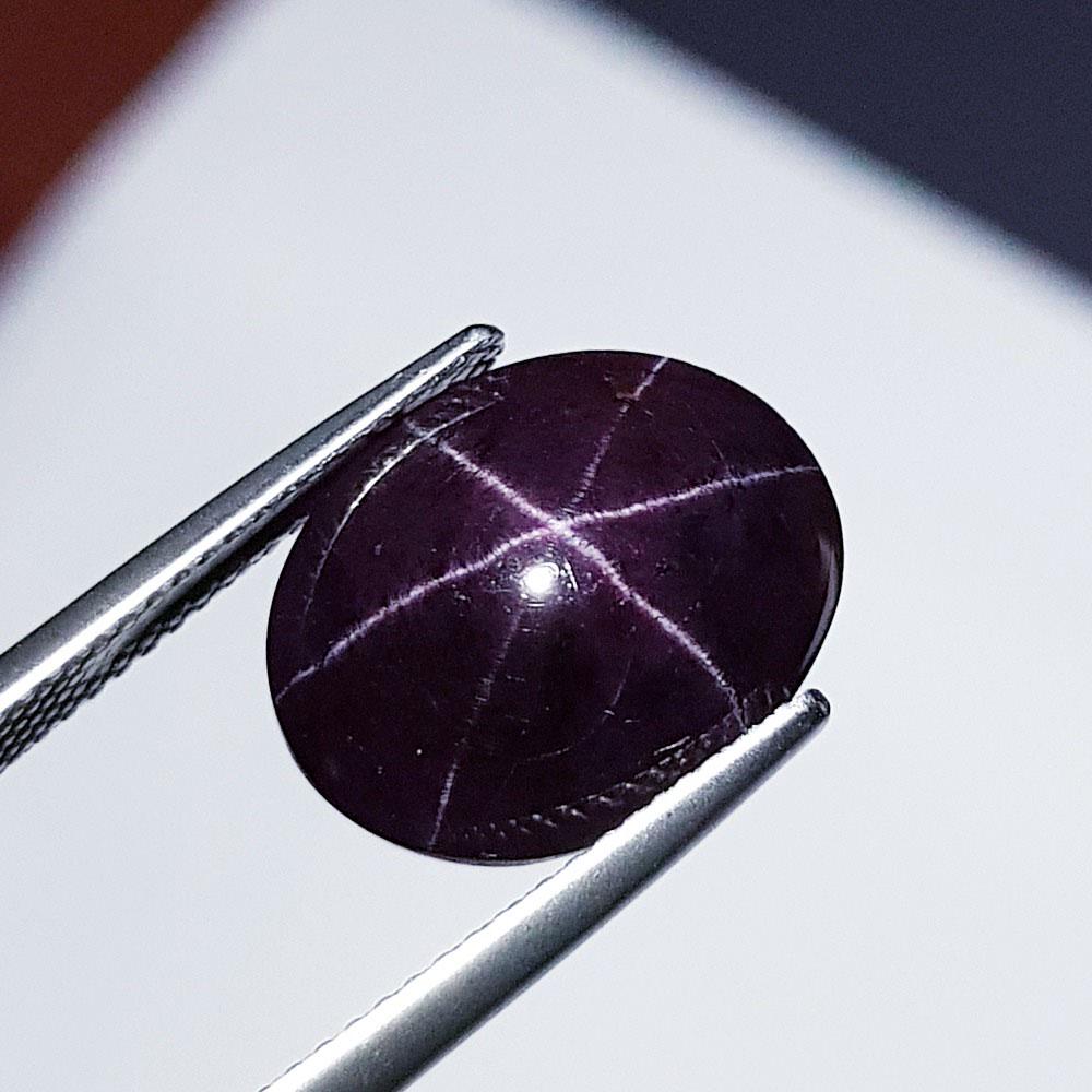 15.70 ct Natural Six Ray Star Garnet (1 of 5)
